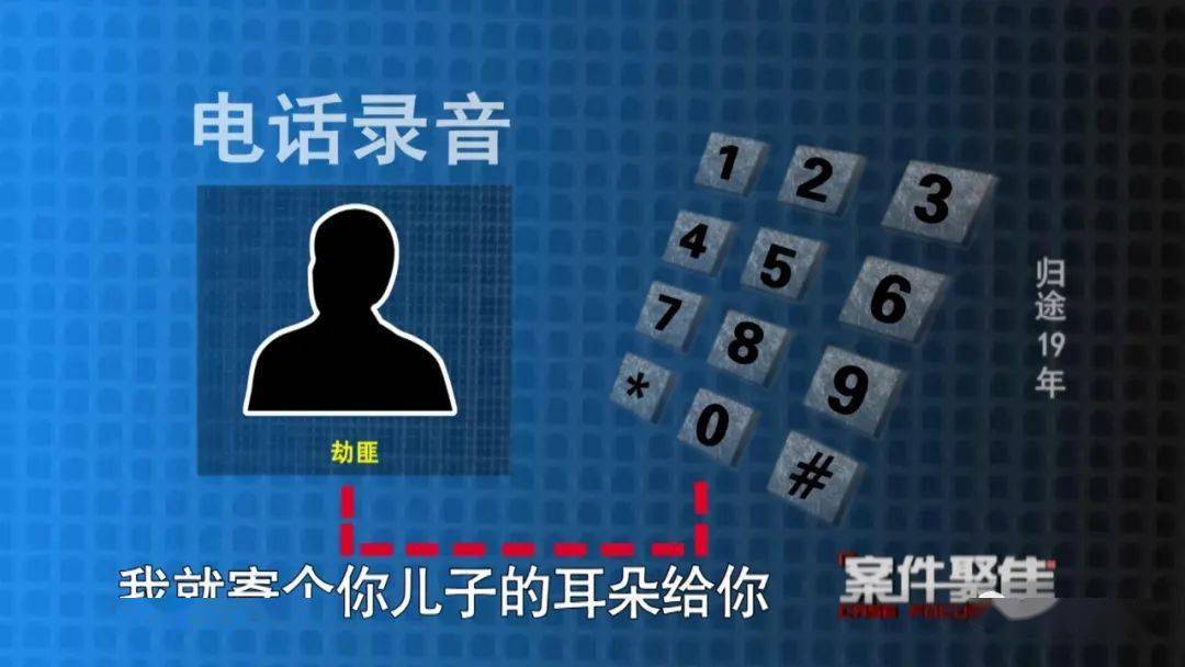 一码一肖，揭秘背后的犯罪问题与警示社会的重要性