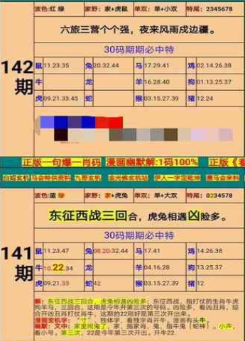 一码一肖，百分之百精准的评论艺术