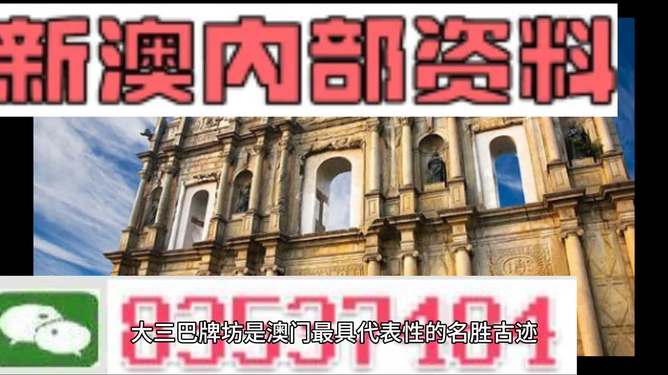 澳门三码三码精准100%，揭示犯罪行为的真相与警示