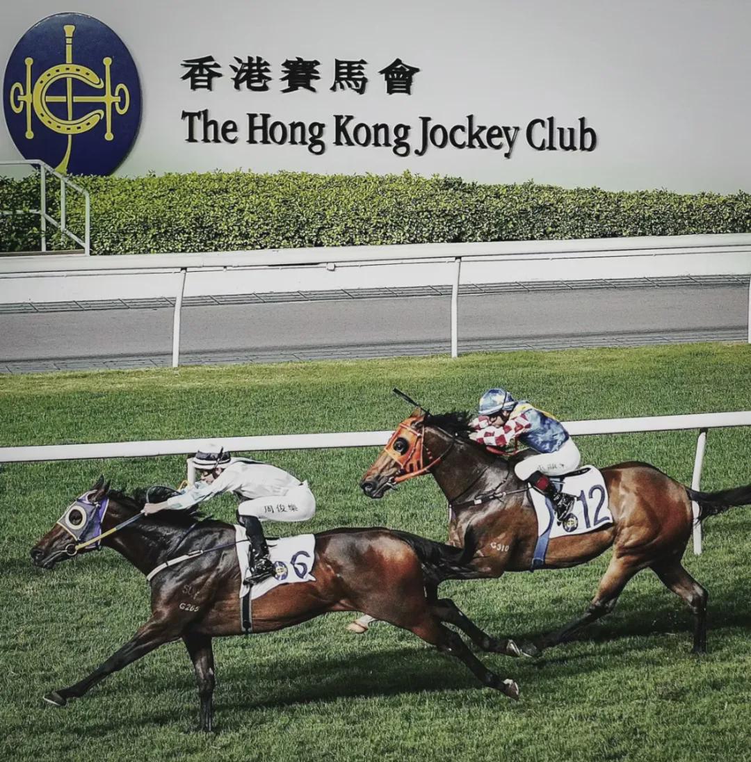 香港马买马网站——探索赛马产业的领先平台