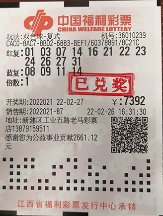 澳门六今晚开奖结果，探索彩票背后的故事与期待