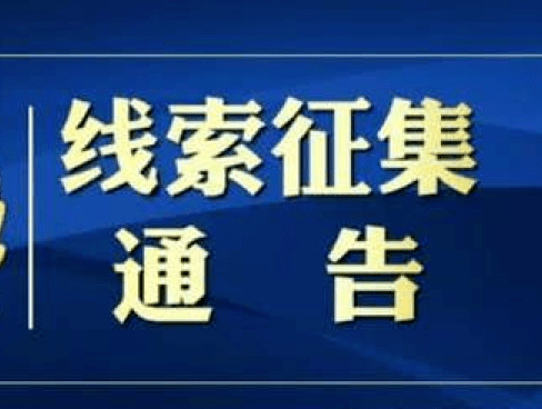 澳门正版精准免费大全，揭示违法犯罪的危害与警示