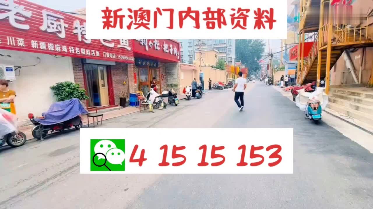 新澳门2024年资料大全管家婆，探索未来的关键信息