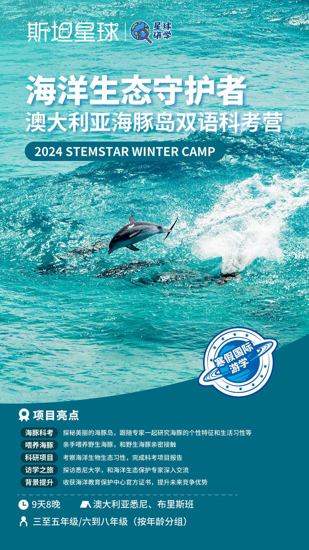 探索2024新浪正版免费资料的海洋
