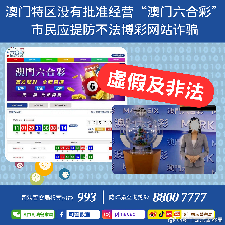 澳门精准资料期期精准每天更新，探索与解析