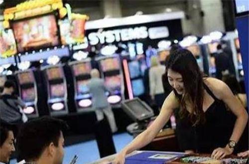 澳门精准一肖一码100%，揭示背后的犯罪风险与挑战