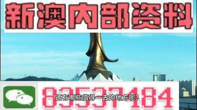新澳内部资料精准大全，深度探索与理解
