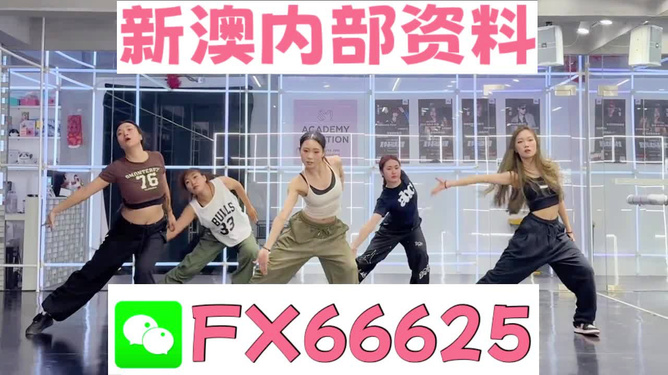 澳门王中王一中一码的秘密与传奇