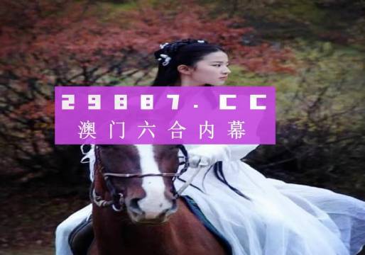 王中王493333WWW，数字背后的故事与探索