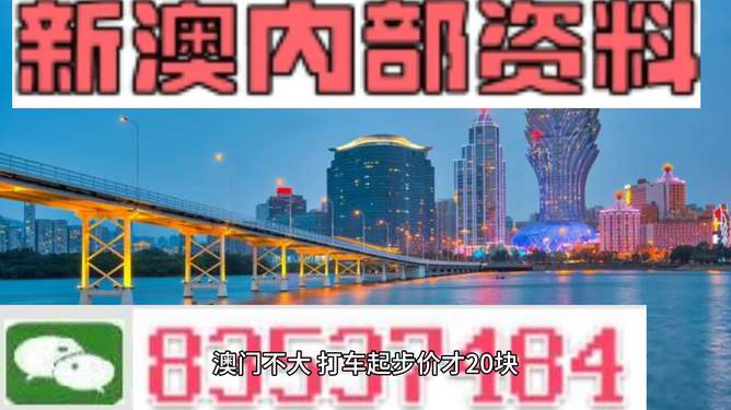 新澳门最精准正最精准龙门，探索与解读