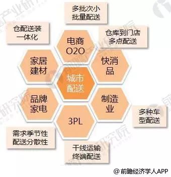 探索新跑狗图最新版，预测与策略