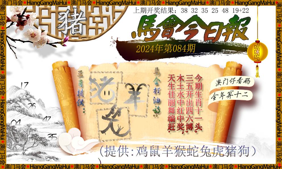 正版马会传真资料内部，揭秘与解析