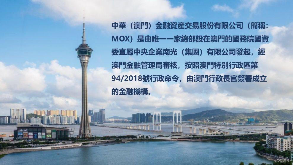 新澳门天天开彩，探索彩票文化背后的魅力与机遇