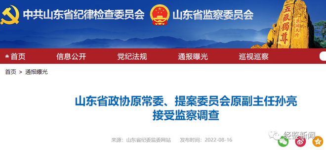 揭秘2024年澳彩免费公开资料，深度解析与前瞻性探讨