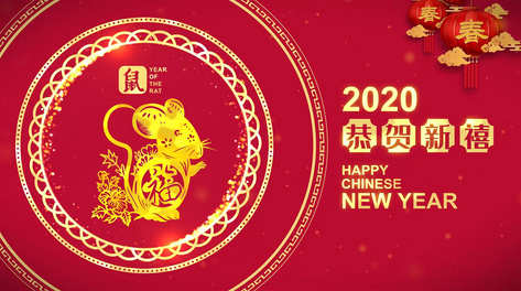 新澳门特免费资料大全，火凤凰的传奇与魅力