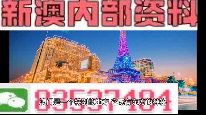 新澳门天天资料，探索与发现