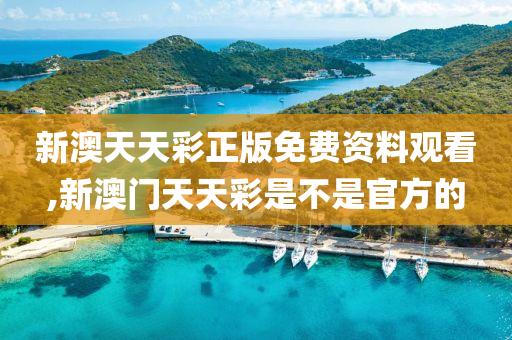 新澳天天开奖资料背后的风险与警示
