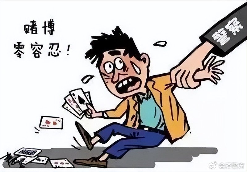 一肖一码一一子中特，揭示背后的违法犯罪问题