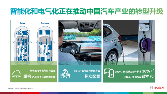 揭秘十二生肖与数字码，探寻2024年十二生肖的49个神秘数字码之旅