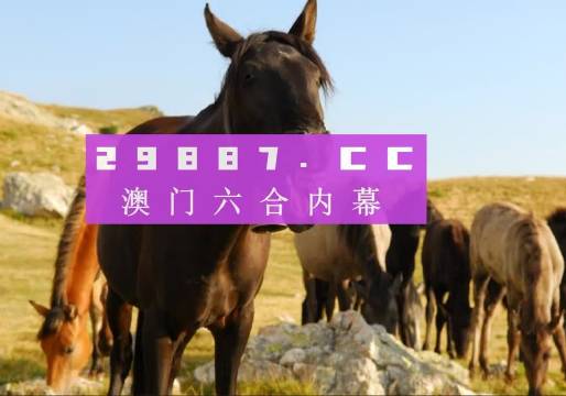 股票智选局 第3页