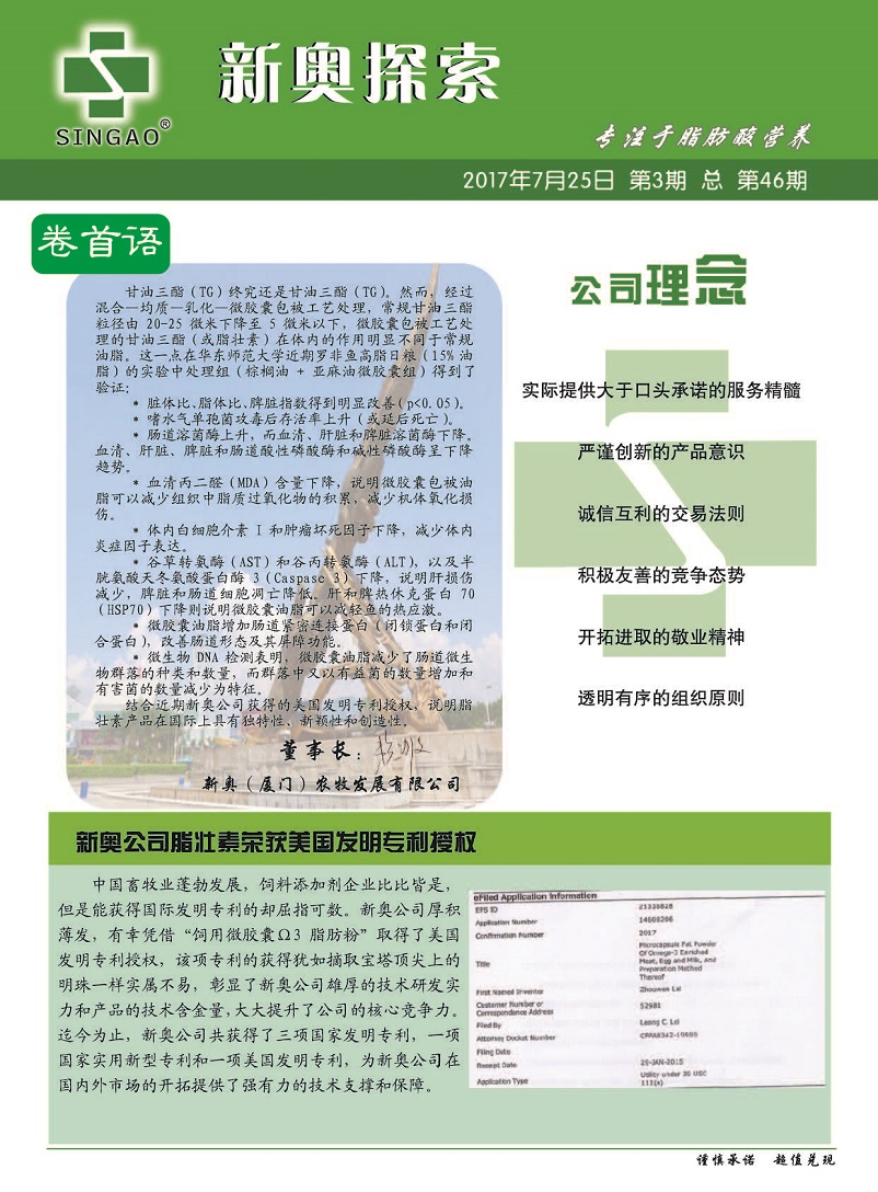 探索未来，解析2024新奥精准正版资料