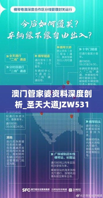 澳门管家婆，揭秘精准预测背后的秘密