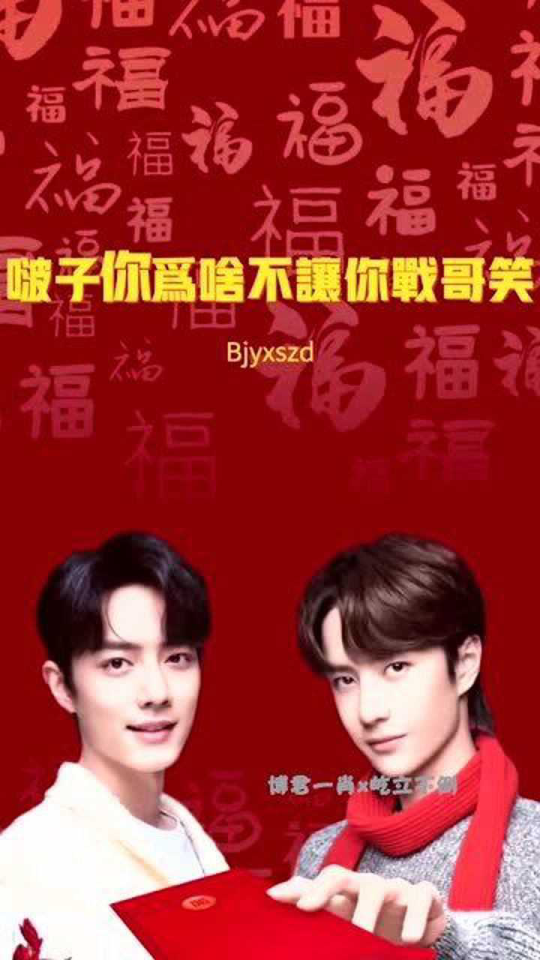 一肖一码一一肖一子，探寻背后的神秘与魅力
