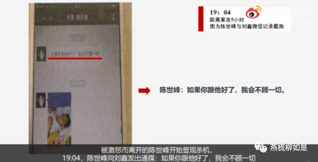 新粤门六舍彩资料免费，探索与解析