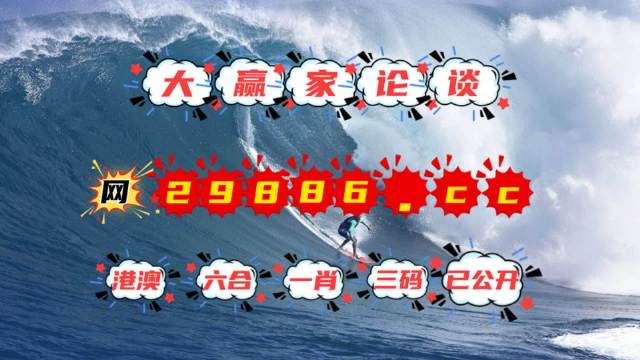 澳门新彩4949开奖记录，探索与解析