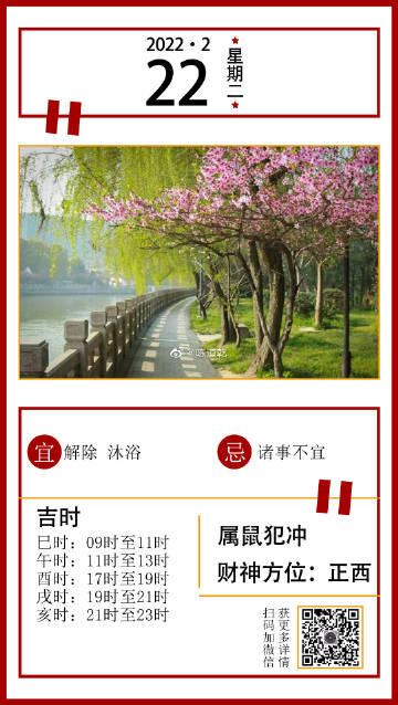 最准一肖一码，揭秘精准预测背后的秘密