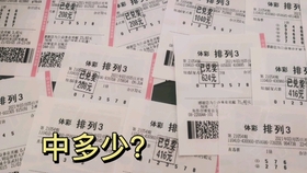 澳门天天开好彩背后的凤凰天机与犯罪问题探讨（不少于1046字）
