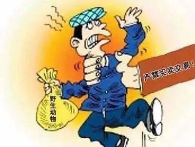 关于新澳门资料大全及家野中特的探讨——警惕非法活动与违法犯罪问题