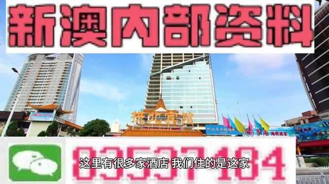 揭秘2024新澳免费资料内部玄机，深度解析与前瞻展望