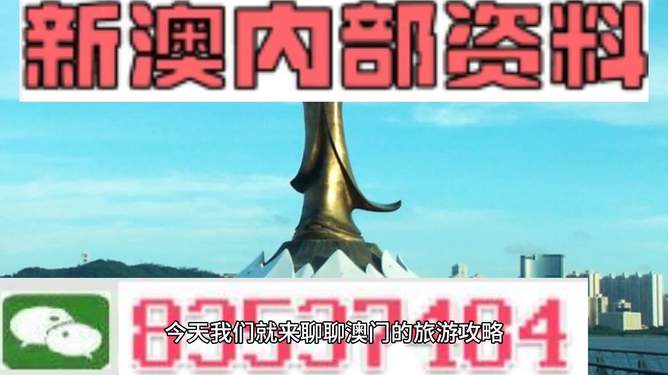 关于新澳门精准的资料大全，揭示违法犯罪问题的重要性