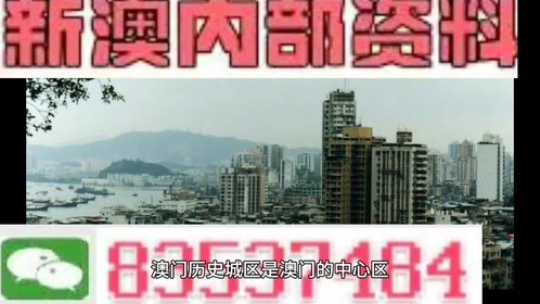 澳门精准资料期期精准每天更新，探索与解读