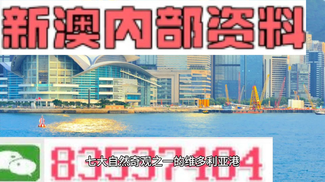 新澳2024年精准资料期期，探索未来彩票的新机遇与挑战