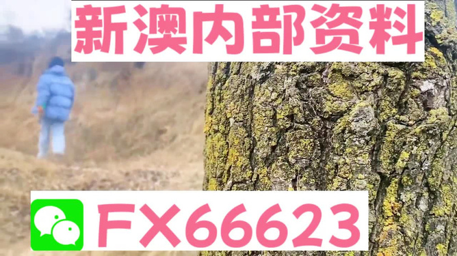 新澳资彩长期免费资料，探索与解析