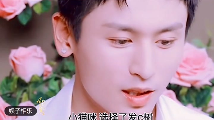 香港资料大全，正版资料与图片的探索