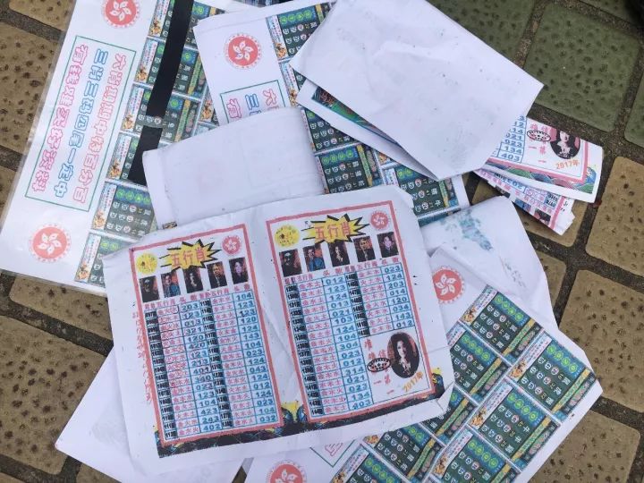 澳门王中王100%的资料——揭示违法犯罪的真面目