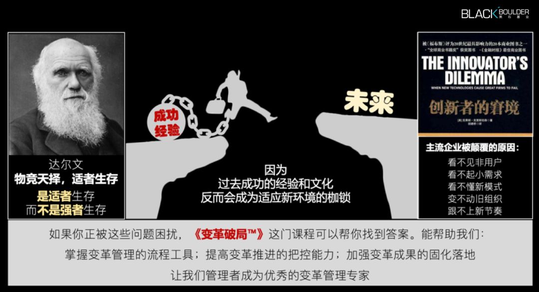 解密777788888管家婆必开一肖——探寻背后的神秘逻辑