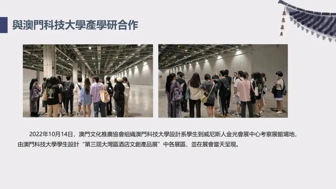 澳门挂牌之免费全篇，探索与揭秘