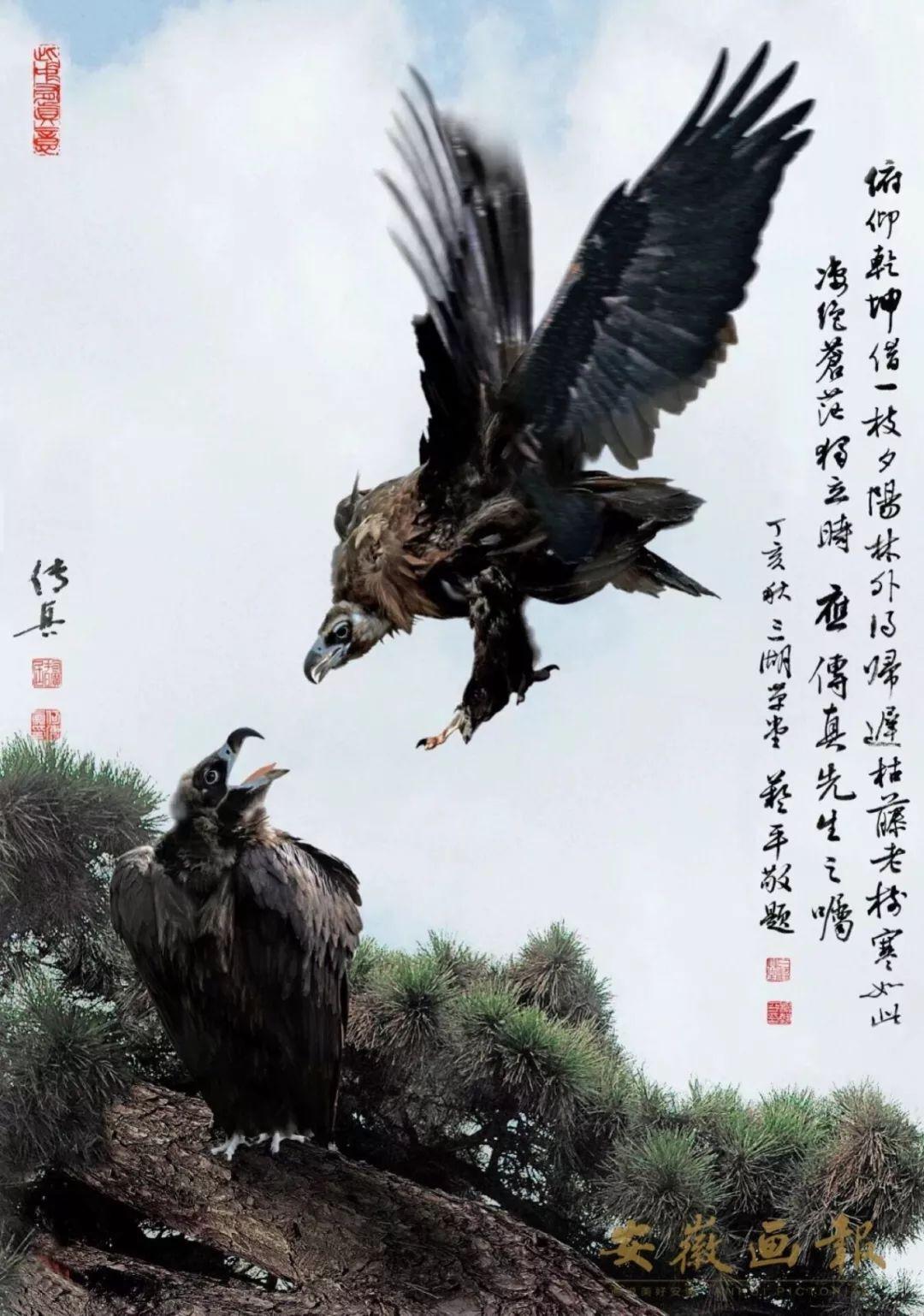 澳门传真与正版传真，探索与解读