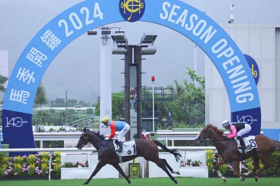 香港2024最准马资料免费，探索预测与资讯的世界