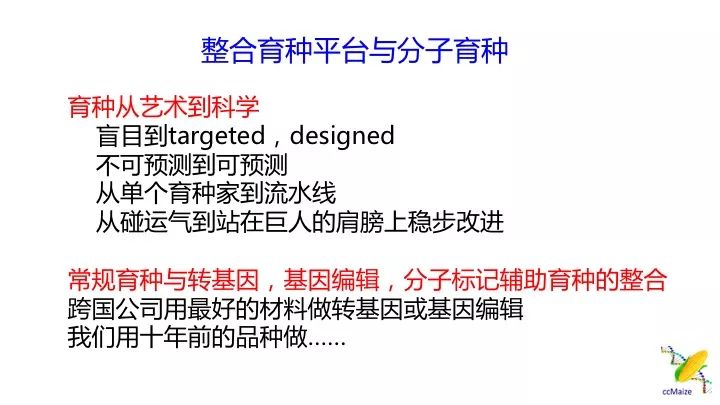 澳门平特一肖100%准资优势，揭示背后的风险与挑战
