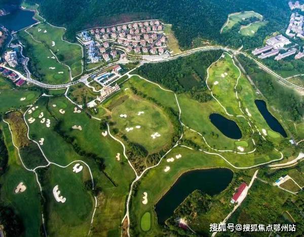 新奥门天天开好彩大全 85期预测与解析（2024版）