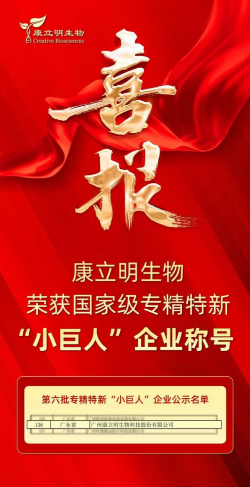 新澳门特免费资料大全火凤凰，探索与解析