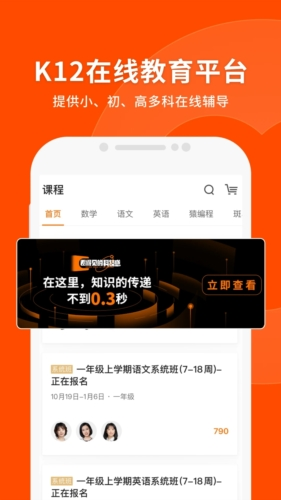 澳门平特一肖，深度解读与精准预测点评