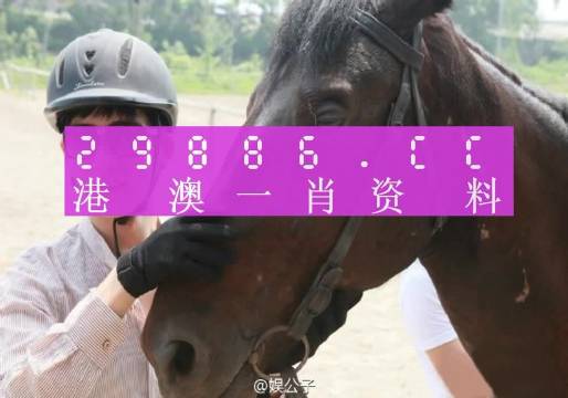 澳门一肖一码期期精准，揭秘背后的真相与警示