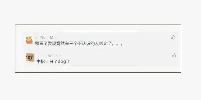 一肖一码9995cocm，揭示背后的违法犯罪问题