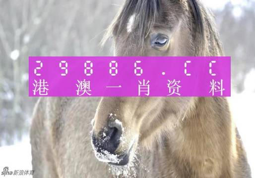 澳门一肖一码100准免费——揭秘背后的犯罪风险